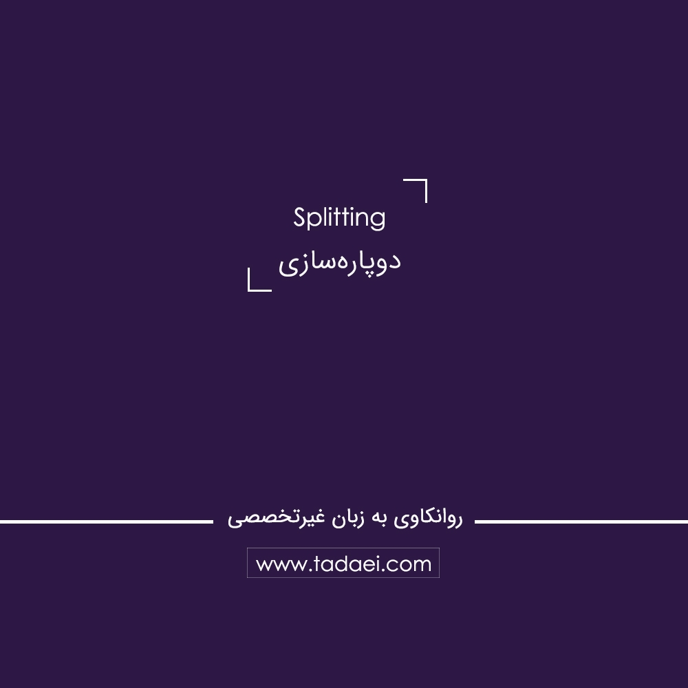 دوپارهسازی (Splitting) چیست؟