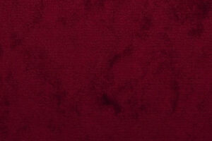 کنشگر اجتماعی