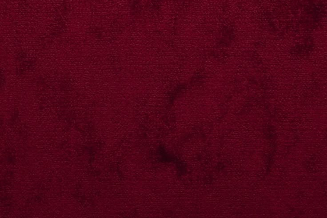 کنشگر اجتماعی