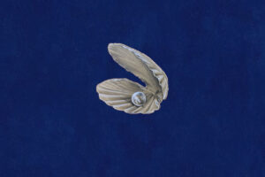 سوپروایزر درمانگر