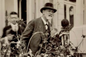 فروید و امر سیاسی