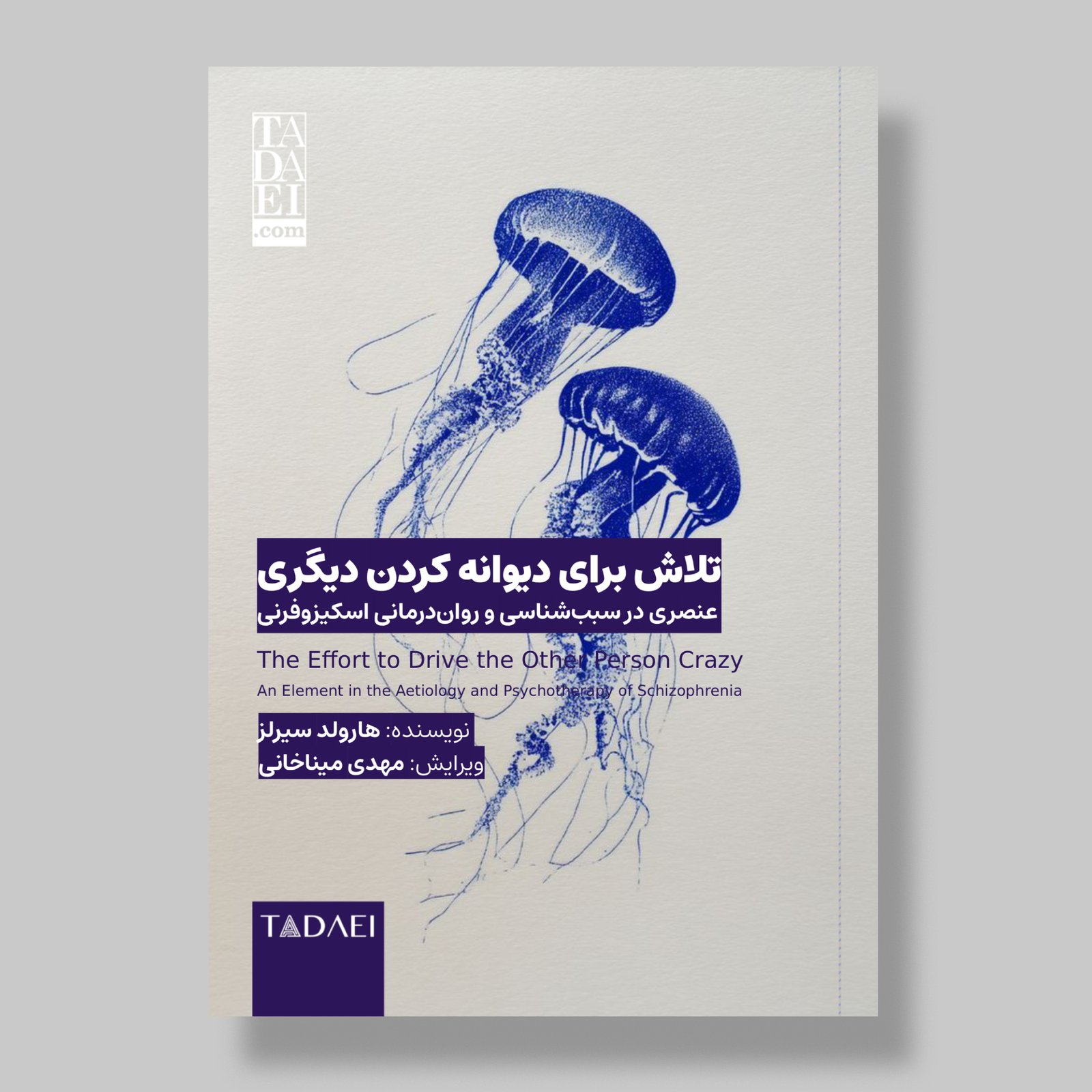 تلاش برای دیوانه کردن دیگری