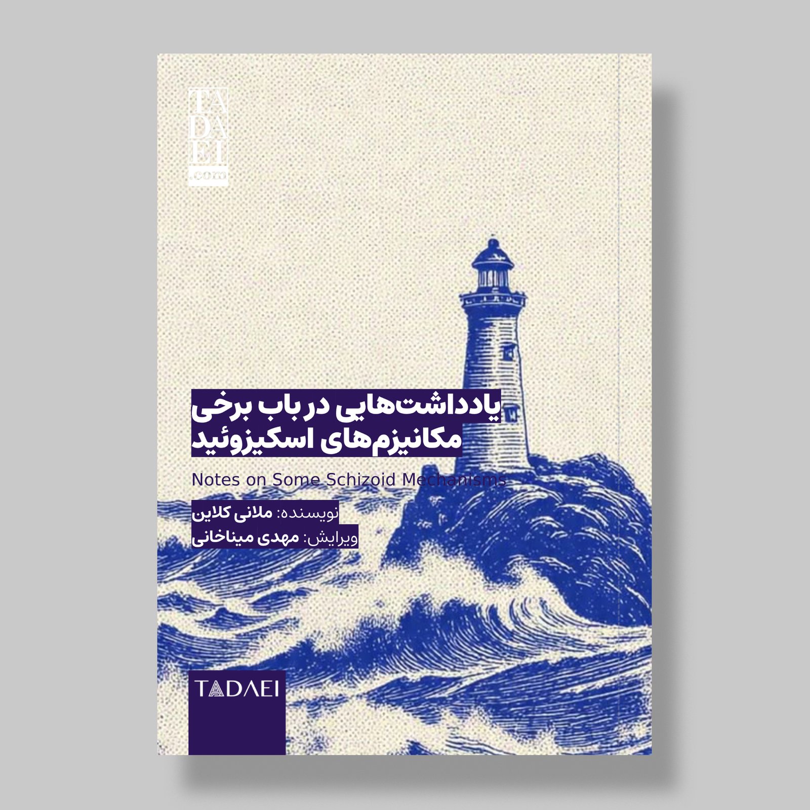 یادداشت‌هایی در باب برخی مکانیسم‌های اسکیزوئید